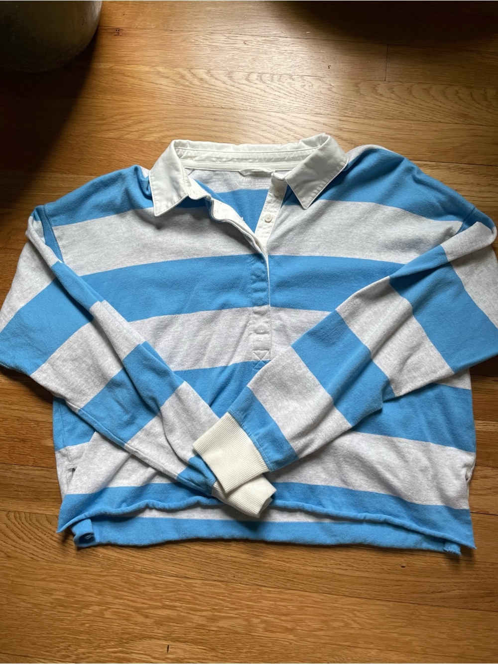 Aerie Light Blue Striped Rugby shirt